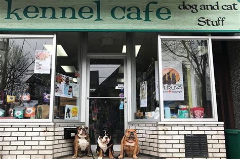 The Best Pet Stores In Toronto