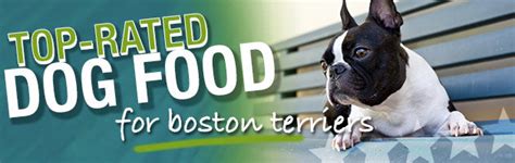 Top recommended dog foods for boston terriers Best Dog Food For Boston Terriers | Puppy, Adult & Senior ...