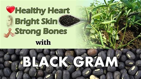 Powerful Benefits Of Black Gram For Glowing Skin And Internal Health