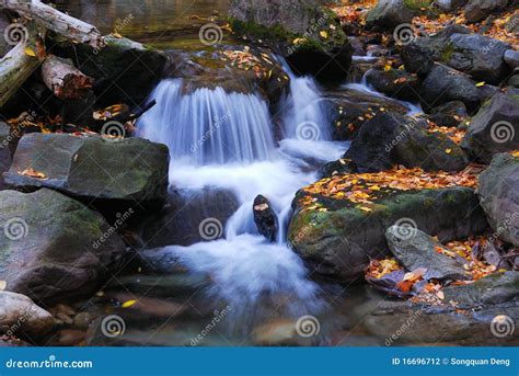 Autumn Creek Closeup Stock Photo Image Of Landscape 16696712