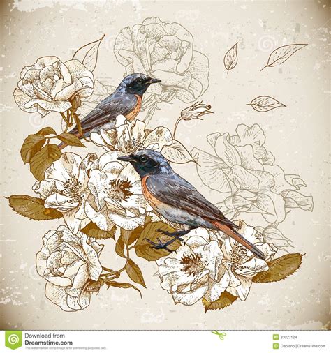 Make use of vintage birds, floral patterns, and 19th century botanical illustrations as greeting card designs. Vintage Floral Background With Birds Stock Vector ...