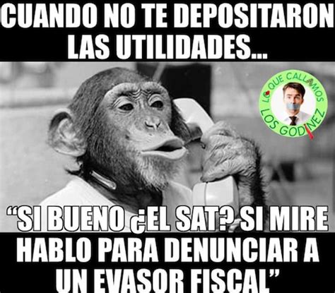 Fernando diez barraso motivó a que se. Memes y tweets del Día del Contador | Erizos