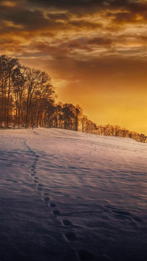 2160x3840 Evening Snow Landscape Trees Sony Xperia Xxzz5 Premium Hd