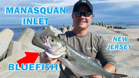 Catching Bluefish At The Manasquan Inlet Catch Clean YouTube