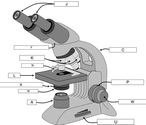 Label The Parts Of The Microscope