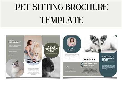 Pet Sittingboarding Brochure Template Editable Template Etsy