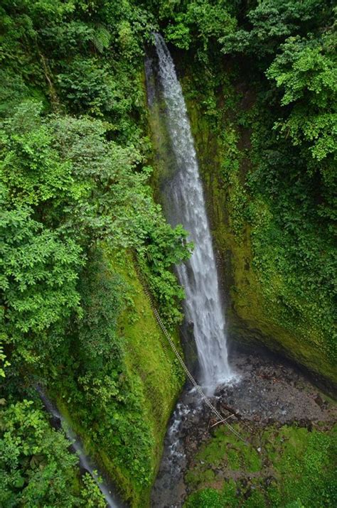 This excursion is consistently rated as one of the best things to do in ketchikan. Arenal Zip Line Canopy Tour | Best Zip Line | La Fortuna ...