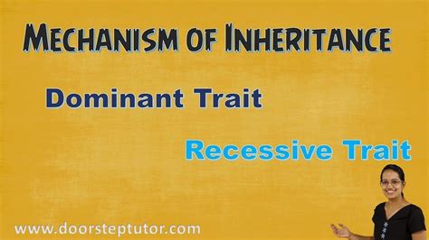 Mechanism Of Inheritance Dominant Traits Recessive Traits Genetics