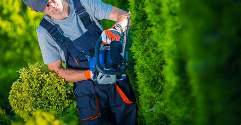 Why You Should Hire A Commercial Landscaper • Abc Scapes Inc