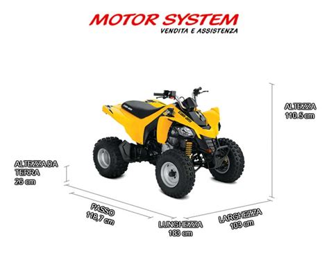 Can Am Ds 250 Motor System Vendita Moto E Quad