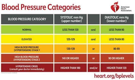 What Do The Blood Pressure Numbers Mean • Fittrend
