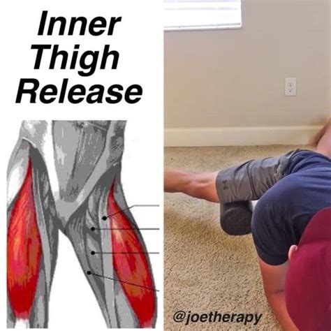 Nner Thigh Release Are Your Inner Thighs Tight Adductor Gracilis