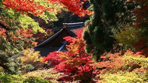 Daigoji Temple Kyoto Travel