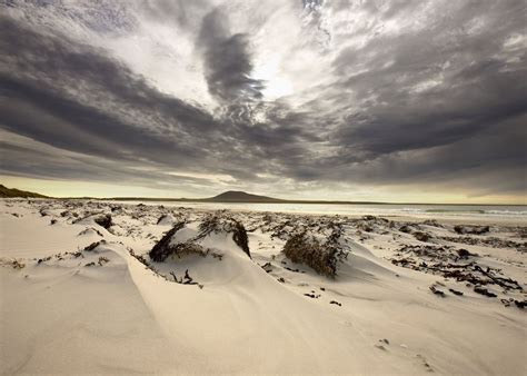 Visit Pebble Island The Falkland Islands Audley Travel Uk