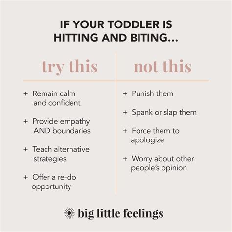 How To Stop Your Toddler From Hitting Big Little Feelings Happy