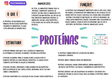 Mapa Mental De Las Prote Nas Una Gu A Completa Para Entender Su Estructura Y Funci N Arsase