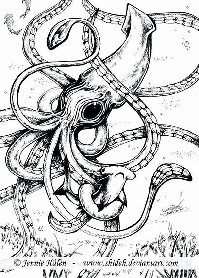 Squid Coloring Kraken Giant Pages Drawing Cuttlefish