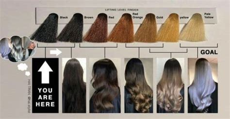 101 Hair Color Chart Guide With Hair Levels And Tones Explained