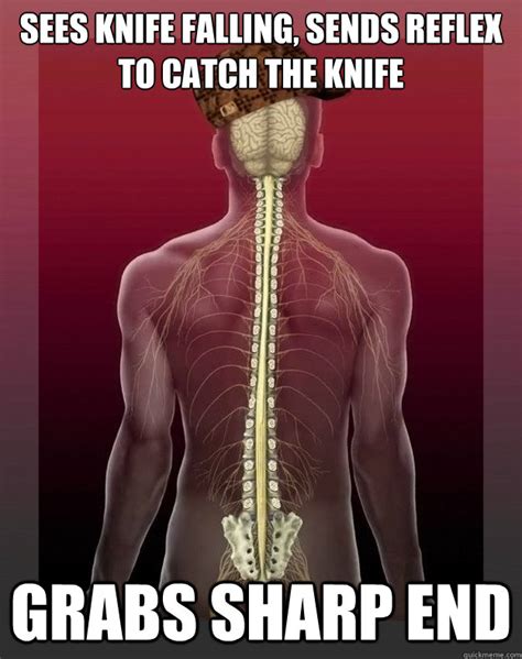 Scumbag Spine Memes Quickmeme