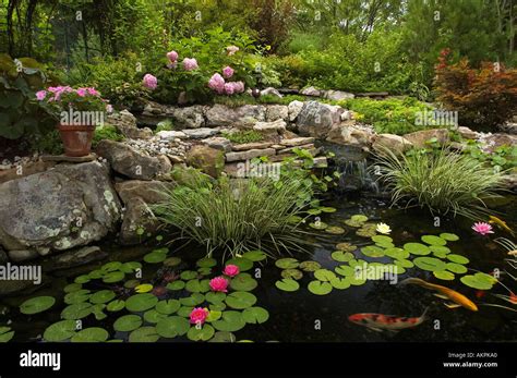 Water Garden With Koi New Albany Indiana Stock Photo Alamy