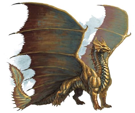 Top 10 Strongest Dragon Types In Dungeons And Dragons Hobbylark