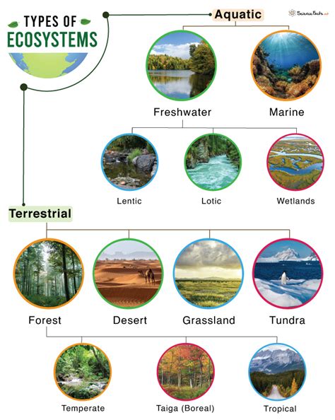 Types Of Ecosystems