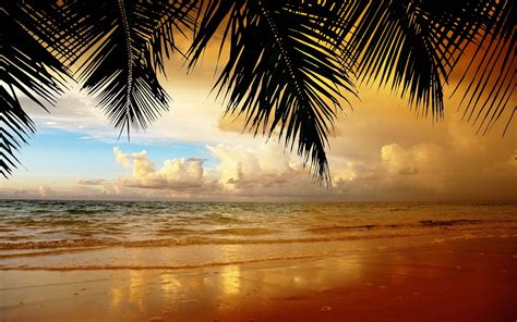 Beach Wallpaper ·① Download Free Beautiful Hd Backgrounds For Desktop Mobile Laptop In Any
