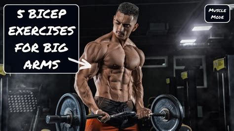 biceps guide top 5 bicep exercises for massive arms youtube
