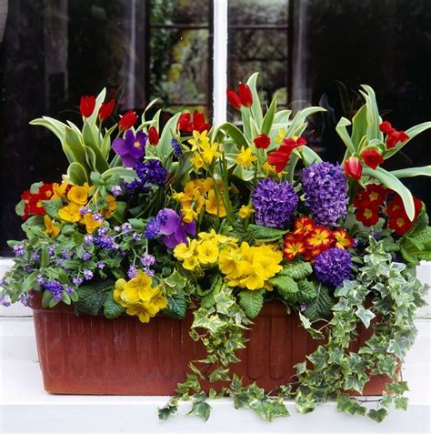 Flowering Window Box Inspiration For Sun And Shade Container Flowers