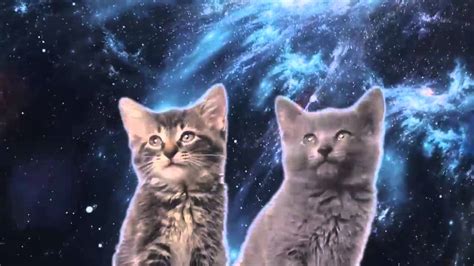 Space Cats — Magic Fly 1h Youtube