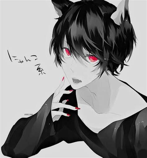 Black Cat Anime Amino