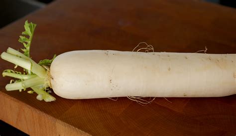 A long white crunchy vegetable from the radish family, daikon is similar in appearance to fresh horseradish but packs a lighter peppery punch similar to watercress. Daikon radish - Korean cooking ingredients - Maangchi.com