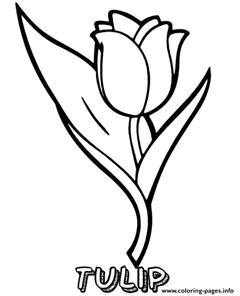 Tulip Flower Printable Coloring Page Printable