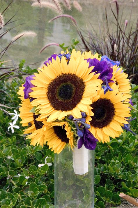 Imagine both a rose and a sunflower (aren't they pretty, the rose so red and the sunflower so yellow) now watch them, as their petals fall, their colours fade, and the delicate blooms die. Summer Sunflower Wedding | Floral Design By Jacqueline Ahne's Blog