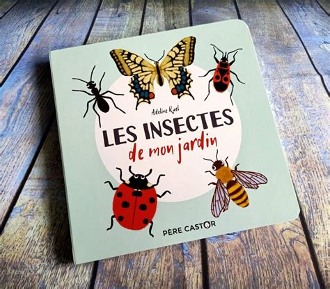 Les Insectes De Mon Jardin Livre Livre Enfant Livre Ado
