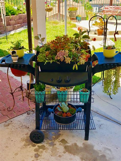 My Old Barbecue Grill With Succulent Plants 💚💚💚 Planters Eco