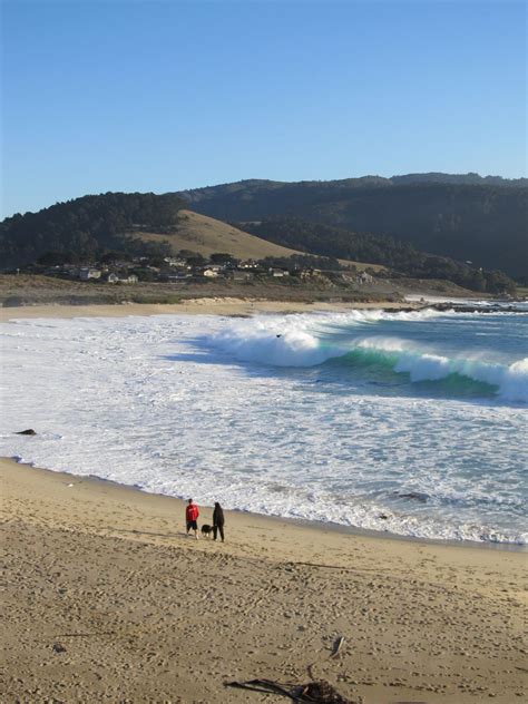 Winter Trip Jour 1 Monarchs A Monterey Et Visite De Carmel