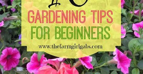 10 Simple Gardening Tips And Ideas For Beginners Spring