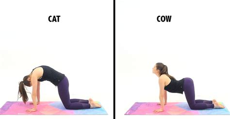 10 Easy Yoga Poses And Their Surprising Health Benefits Crafty House
