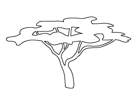 A palm tree coloring tree reminds me of beaches, holidays and sun. Acacia Tree Drawing at GetDrawings | Free download