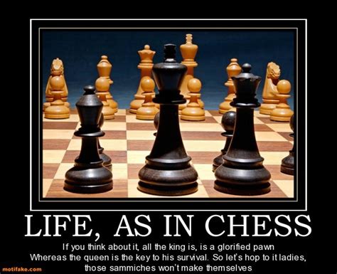 Chess Picture Jokes Chess Forums Page 2