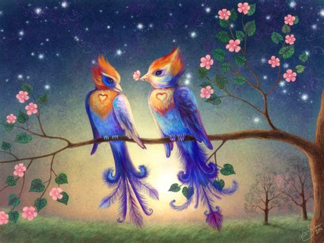 Free Download Beautiful Love Birds Wallpapers Funny Animal 1600x1200