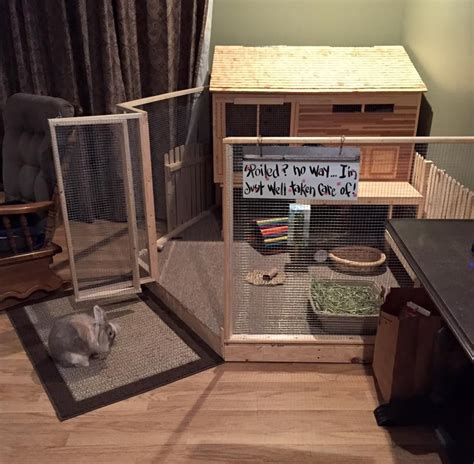 Most rabbit owners start out buying the typical rabbit hutch found at most pet stores. Custom bunny house | Indoor rabbit, Diy bunny cage, Bunny mom