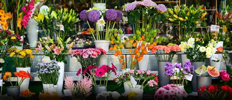 We did not find results for: Flower Shops in Abu Dhabi: Perumal, Balaji & More - MyBayut