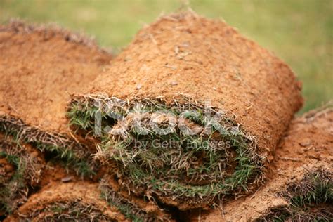 Turf Rolls Stock Photo Royalty Free Freeimages