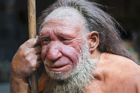Human Evolution Missing Link Found In Siberia With Discovery Of