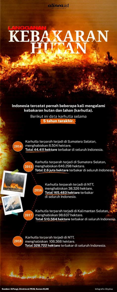 Seluruh kasus kebakaran hutan masih dalam penyidikan.dari 14 menjadi 26 kasus, dia membeberkan.berdasarkan penyidikan sementara, para pelaku pembakaran hutan dan lahan bergerak secara individu. Kebakaran hebat di hutan Indonesia pada 1982-1983