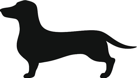 Dachshund Illustrations Royalty Free Vector Graphics And Clip Art Istock