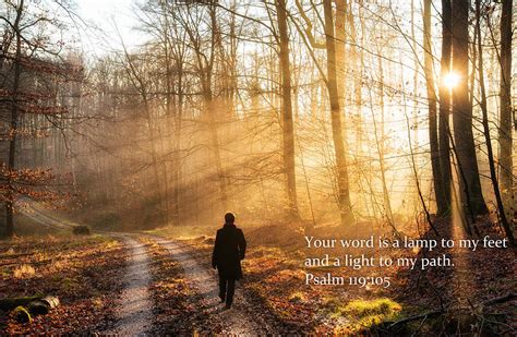 Your Word Is A Light To My Path Bible Verse Quote Photograph By
