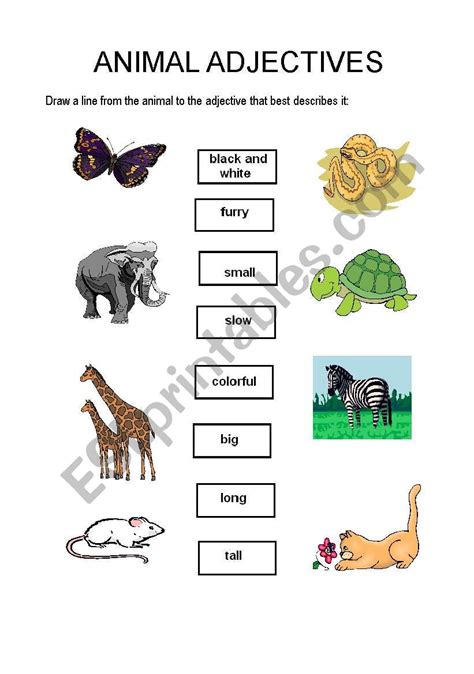 English Worksheets Animal Adjectives